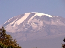Kilimanjaro 14_1